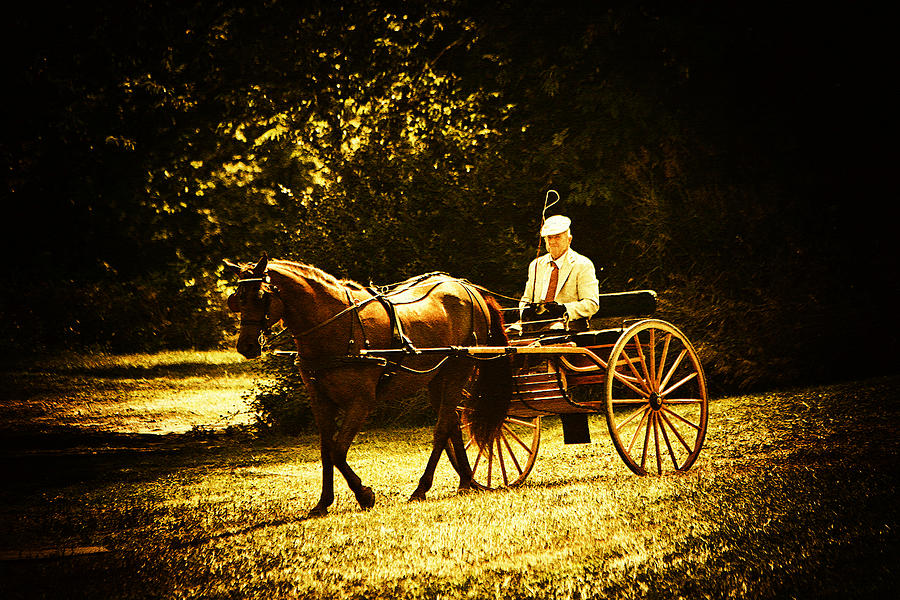 Farm Photograph - A Gentlemans Ride by Karol Livote