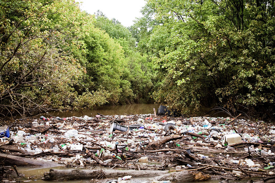 A Giant Trash Pile Floats In A Small Photograph by David Hanson