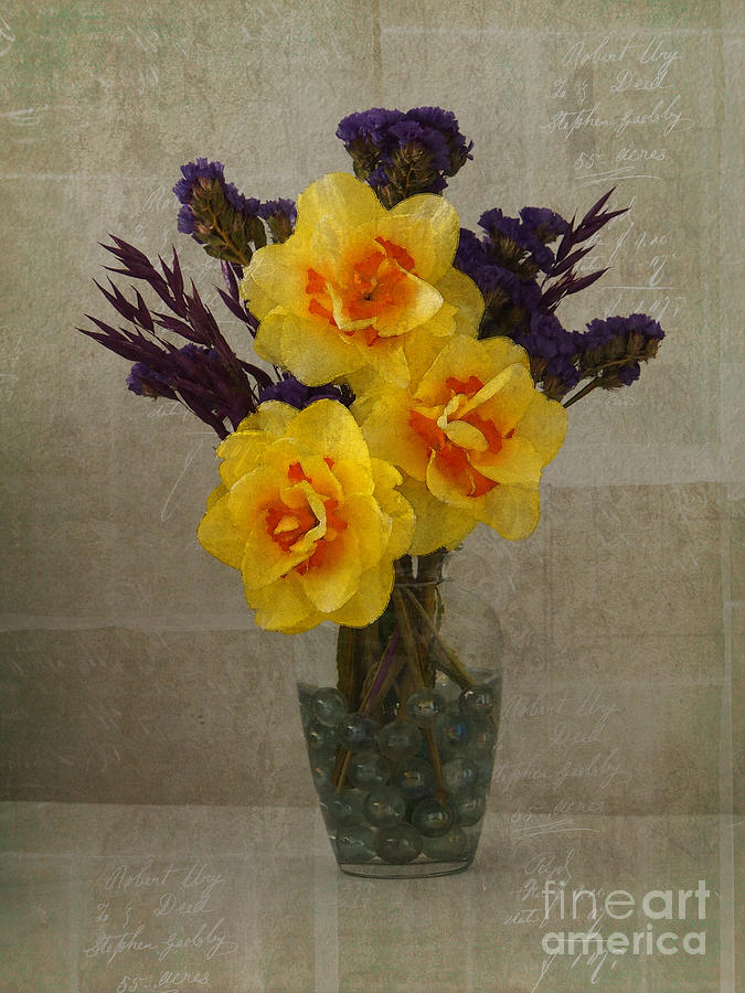 A Gift Of Daffodils  Photograph by Jacklyn Duryea Fraizer