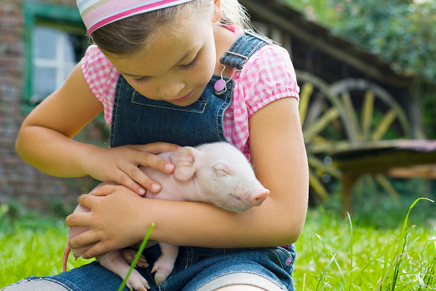 A girl holding a piglet Photograph by Image_Source_