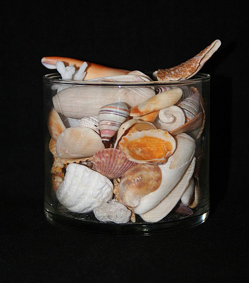 A Glass Of Seashells Photograph by Ester McGuire