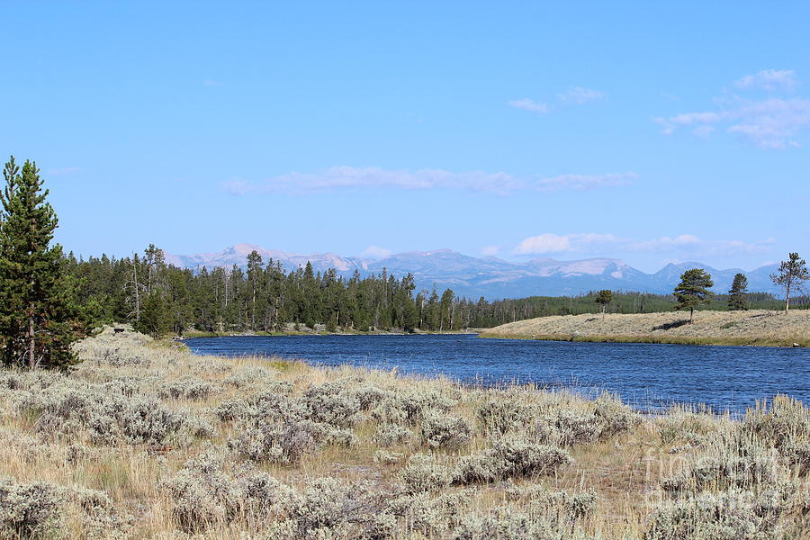 A Glimpse Into Yellowstone Photograph by Kathleen Garman - Fine Art America