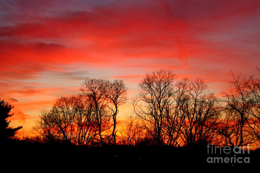 Winter Photograph - A Glowing January Sunrise by Jay Nodianos