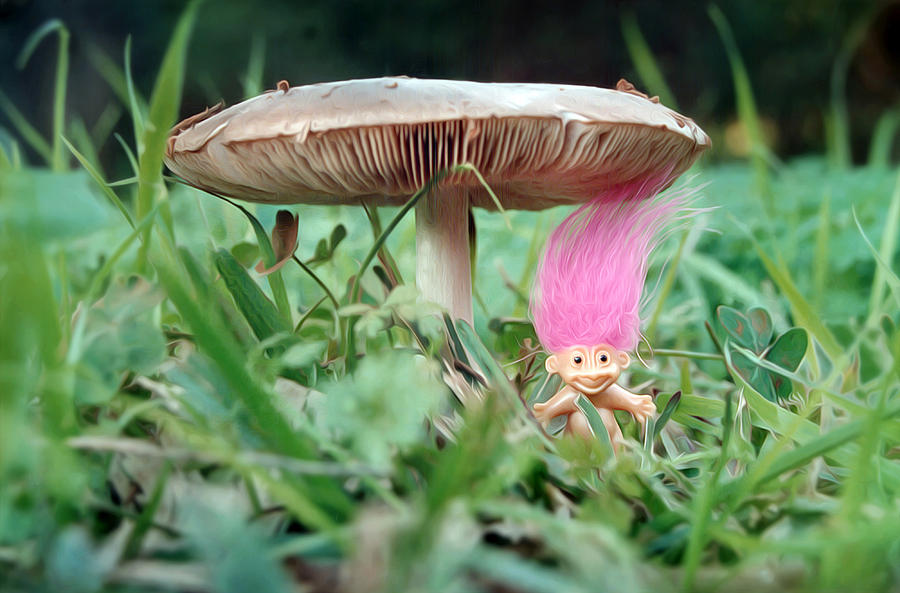 A Gnome and his mushroom Photograph by Meir Ezrachi