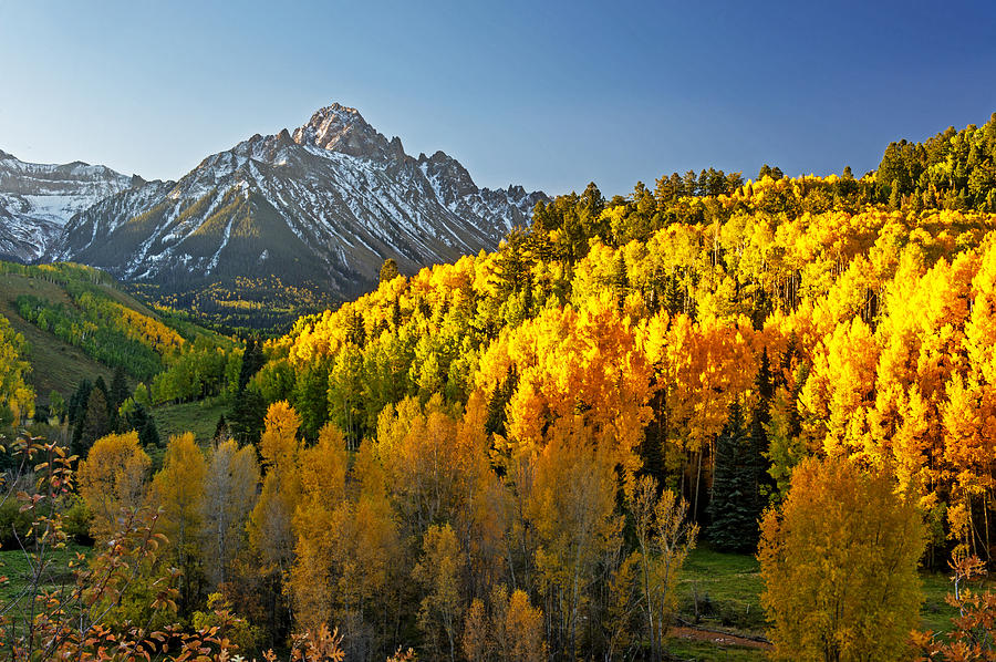 A Golden Fall Day in Colorado Photograph by Willie Harper