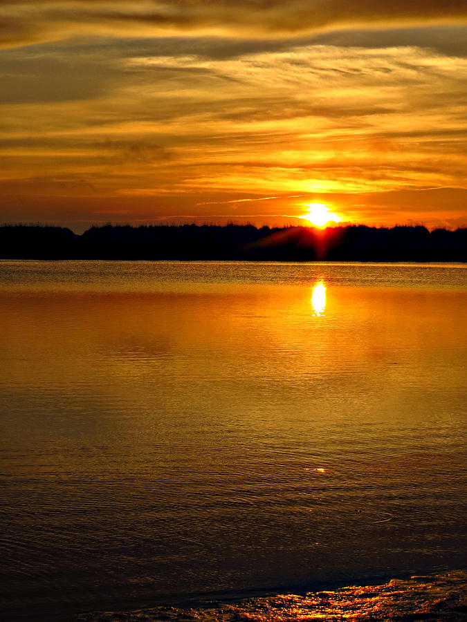 A Golden Good Morning from Anastasia Beach Photograph by David Brown ...