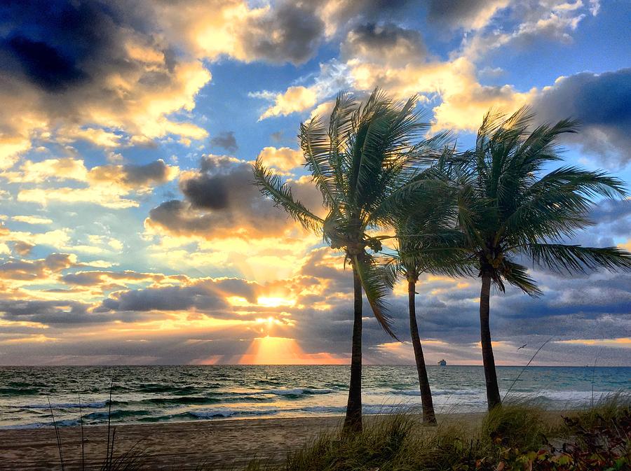 A Golden Moment Photograph By Andrew Royston Fine Art America