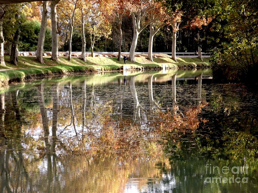 A Golden Moment by FRANCE ART A Golden Moment by FRANCE ART