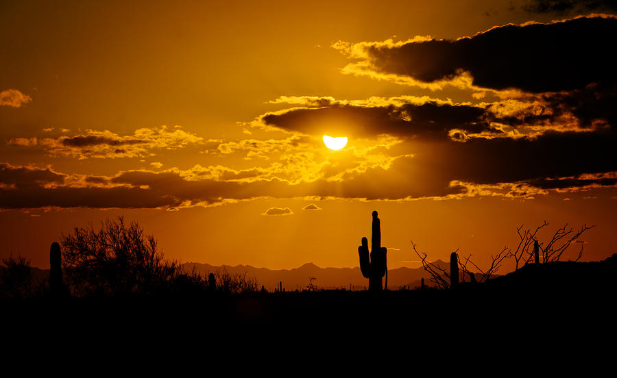 Sunset Photograph - A Golden Southwest Sunset  by Saija Lehtonen