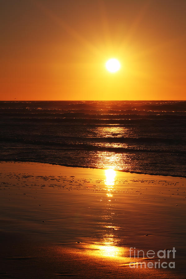 A Golden Sunset At The Beach Of Egmond Aan Zee Photograph