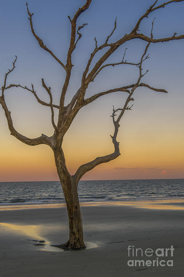 A Golden Sunset On Jekyll Island Georgia Photograph by Willie Harper