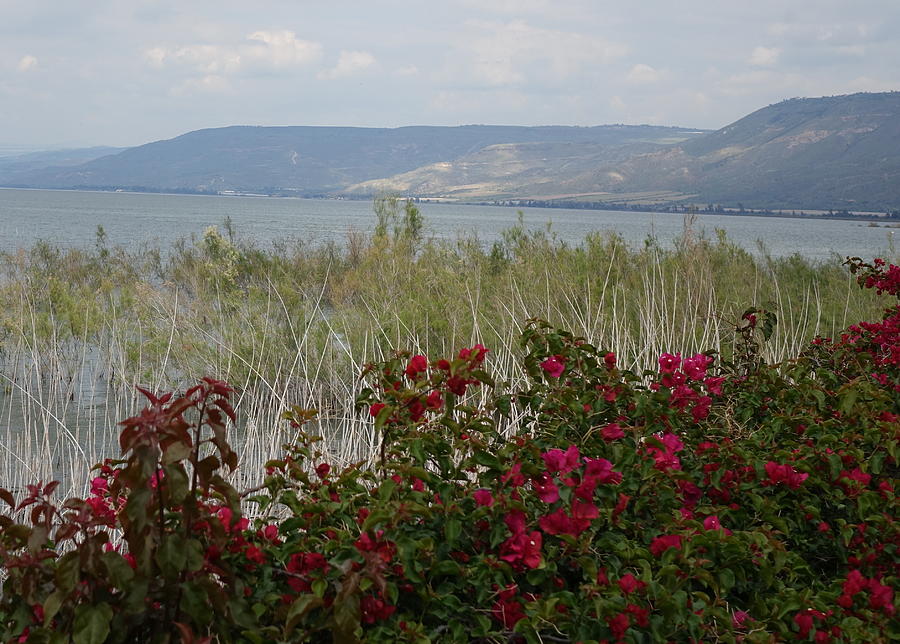 A good morning from the Sea of Galilee Photograph by Rita Adams