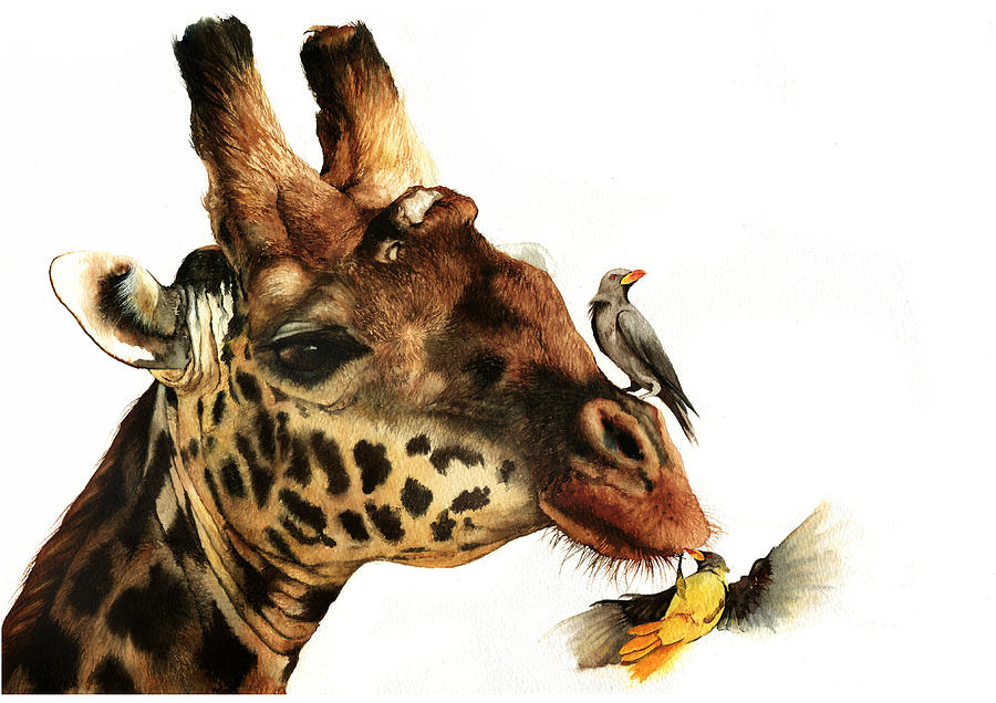 Wildlife Painting - A Good Ticking Off by Peter Williams