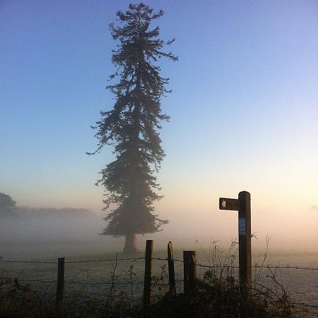 Peaceful Photograph - A Gorgeous, Misty Morning Start To An by Paul Hatcher