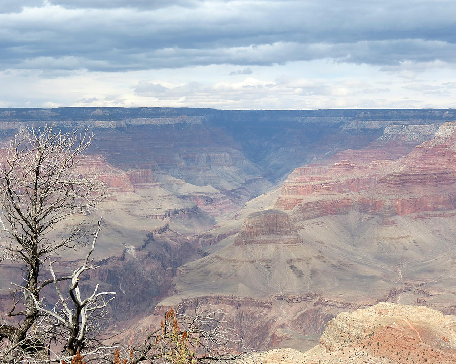 A Grand Canyon Photograph by Laurel Powell