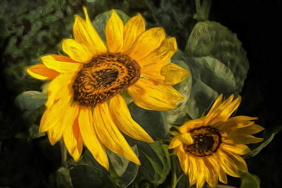 A Graphic of Sunflowers Photograph by Carl Cox