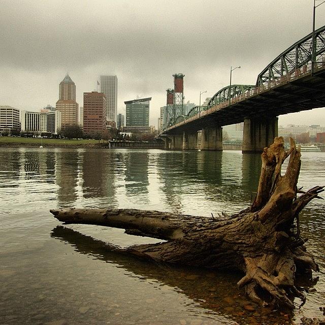 A Gray, Foggy, Cloudy Downtown Portland Photograph by Mike Warner