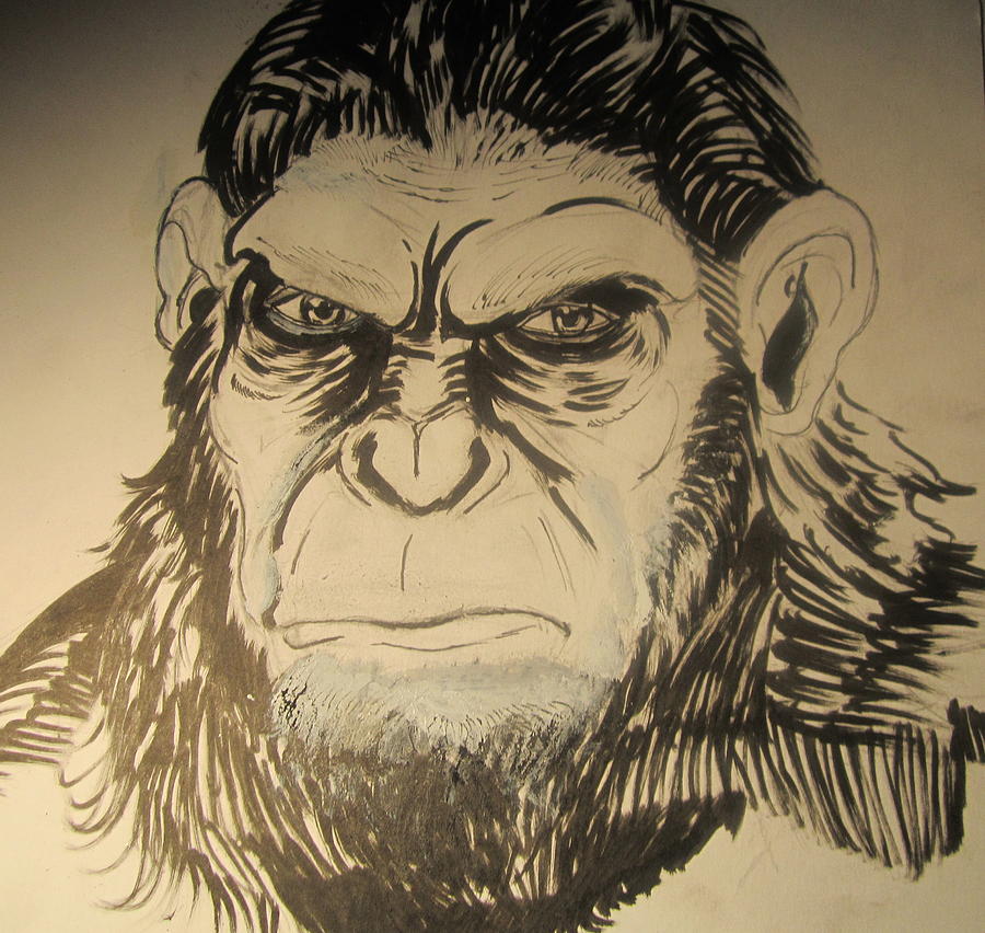 A Great Ape Drawing by Joe Ryan