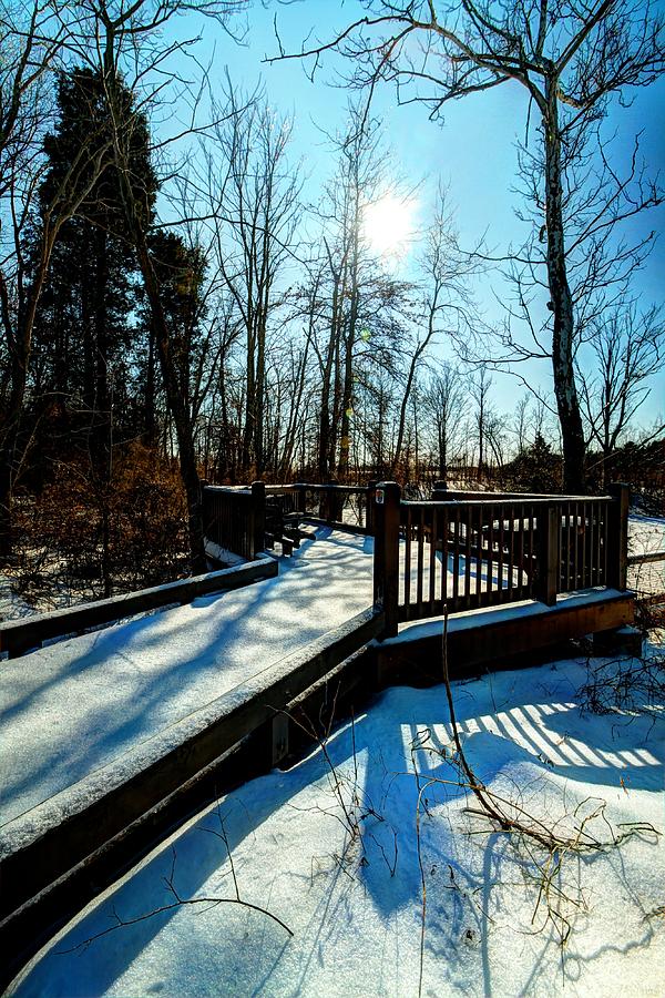 A Great View of Winter Photograph by Haren Images- Kriss Haren