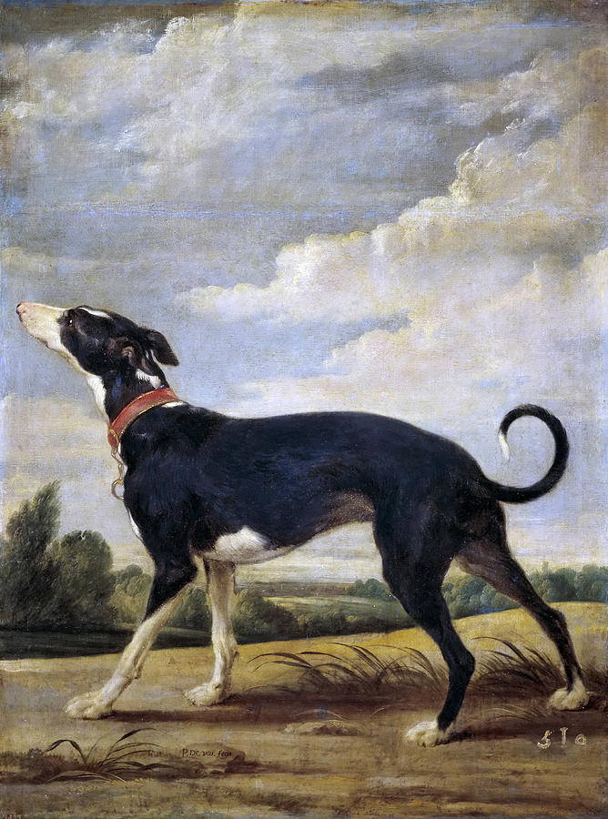 A Greyhound lurking Painting by Paul de Vos