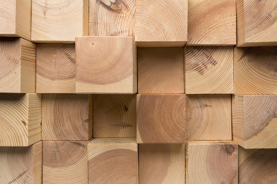 A grid of wooden blocks arranged in varying lengths Photograph by Caspar Benson