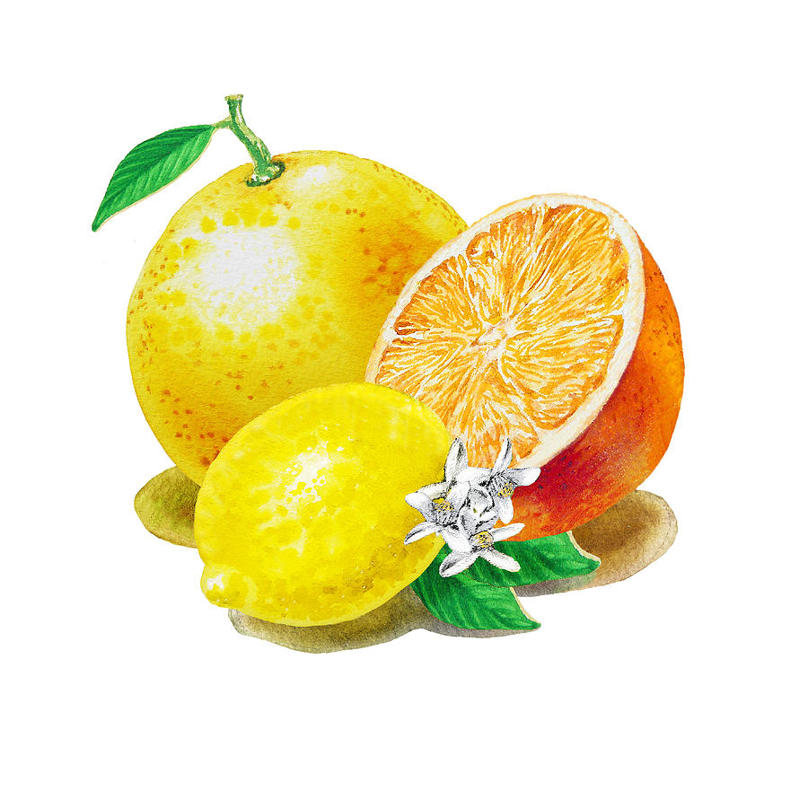 Fruit Painting - A Happy Citrus Bunch Grapefruit Lemon Orange by Irina Sztukowski