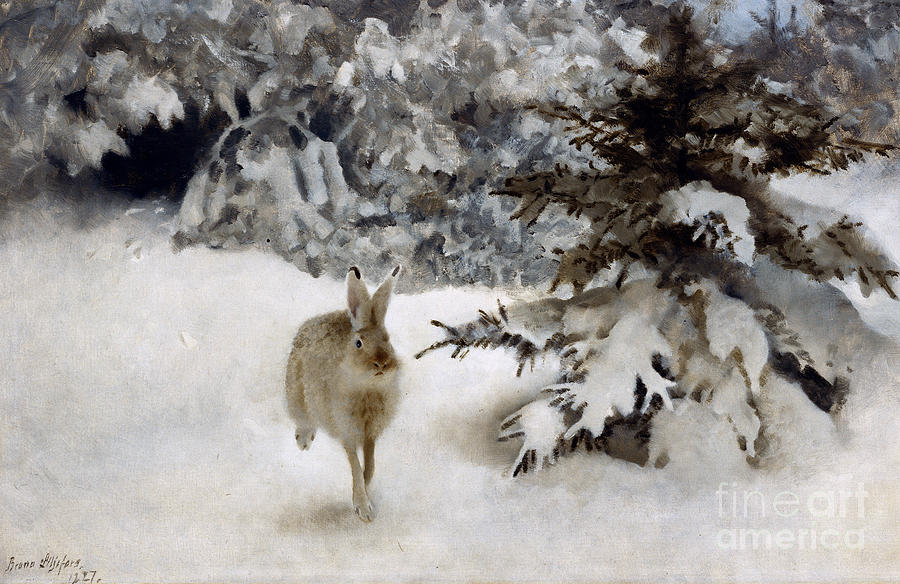 Wildlife Painting - A Hare in the Snow by Bruno Andreas Liljefors