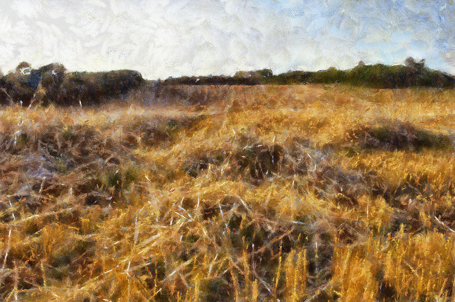 A Harvested Field Painting by Georgia Clare