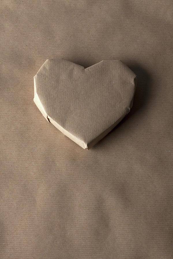 A Heart Shaped Object Wrapped In Brown Photograph by Larry Washburn