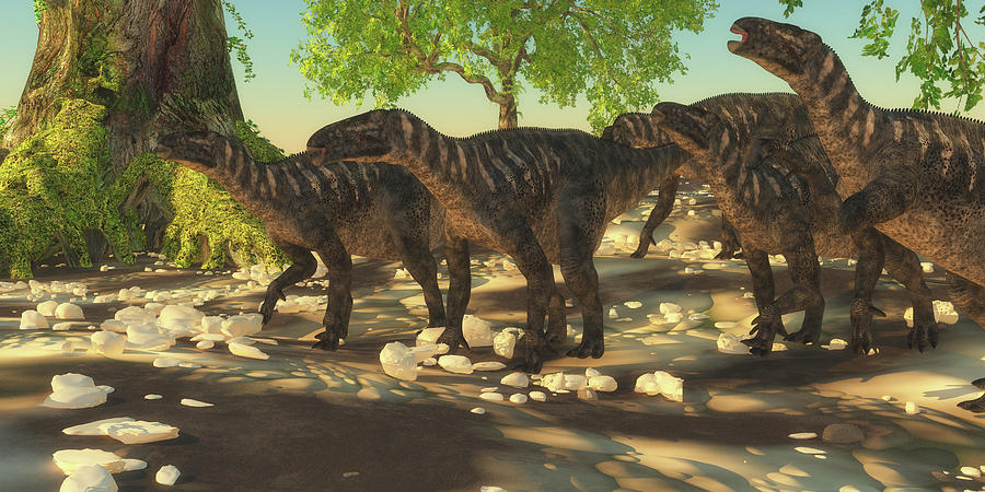 A Herd Of Herbivorous Iguanodon Photograph by Corey Ford - Pixels