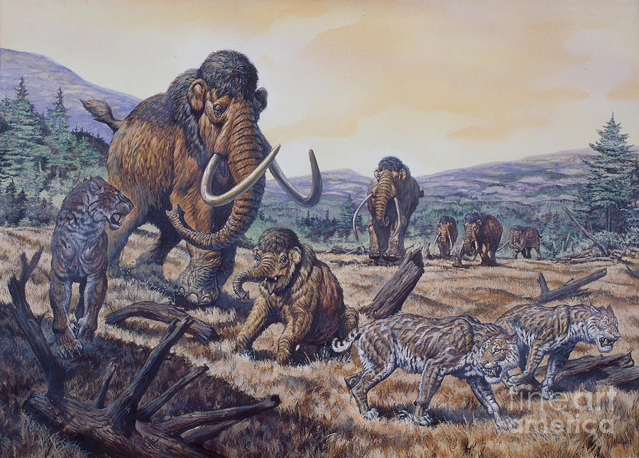 Dinosaur Digital Art - A Herd Of Woolly Mammoth And Scimitar by Mark Hallett