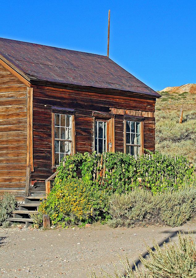 A Hops Bodie Gateway Photograph by Joseph Coulombe