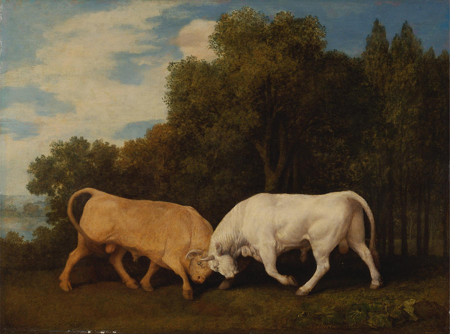 Bulls Fighting #1 Painting by Celestial Images