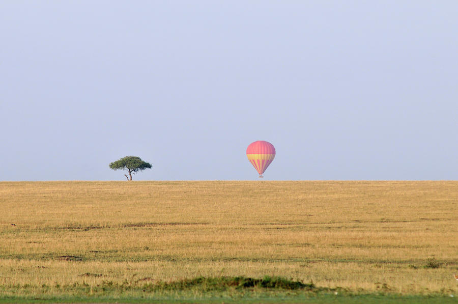 A Hot Air Balloon Safari. Masai Mara Photograph by Kerstin Geier