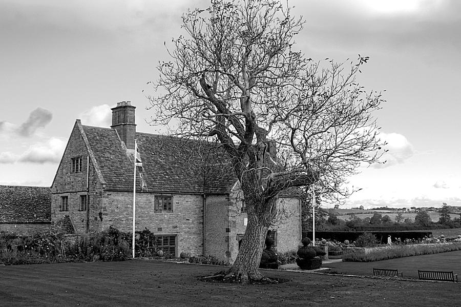 A House and a Tree Photograph by Jeremy Hayden