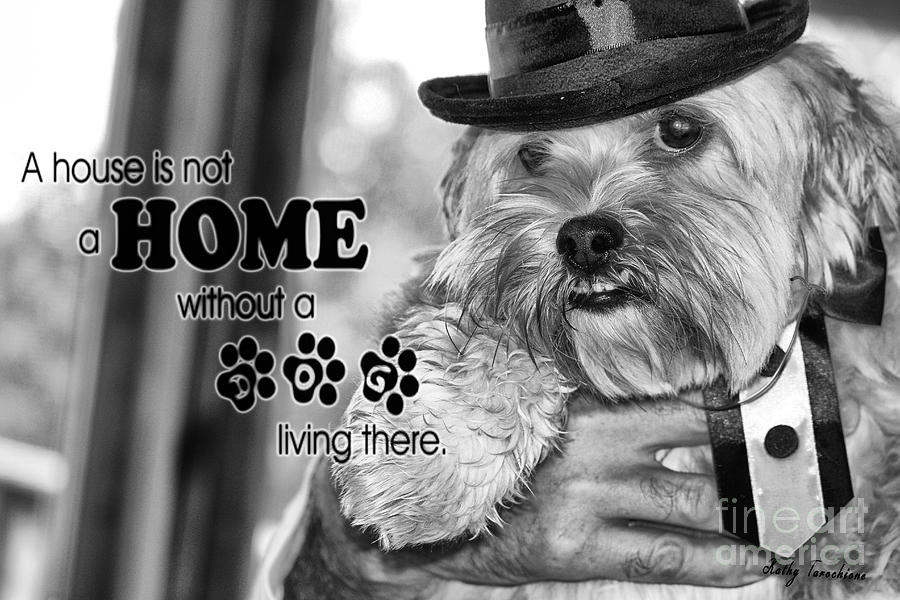 A House Is Not A Home Without A Dog Living There Digital Art by Kathy Tarochione