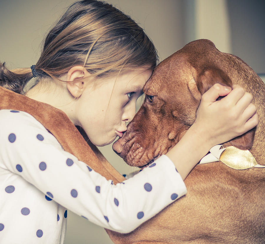 A hug between a young girl and her pet dog Photograph by Deborah Pendell