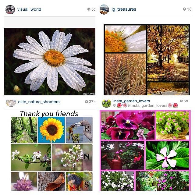 A Huge Thank You To These Amazing Feeds Photograph by Sylvia Martinez