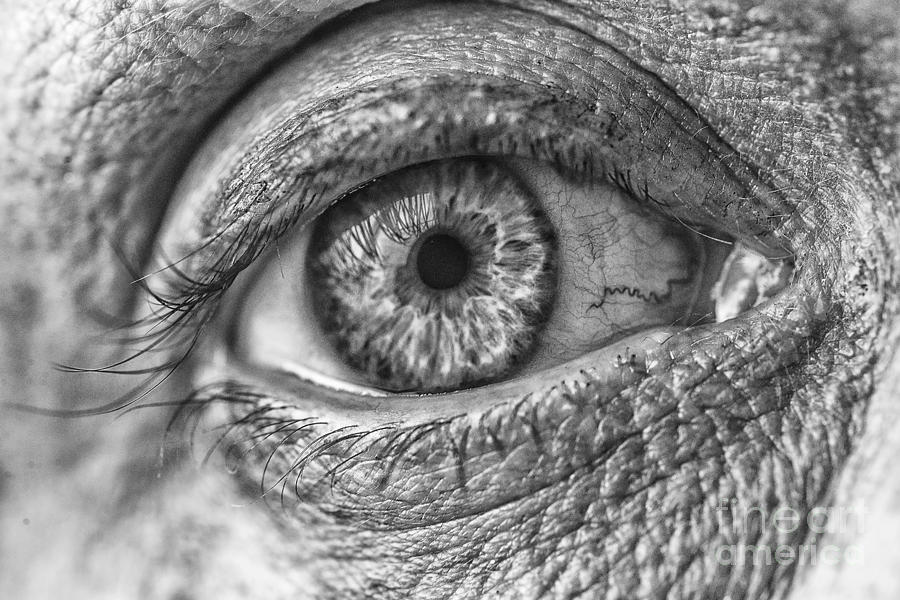 A Human Eye Photograph by David Haskett II