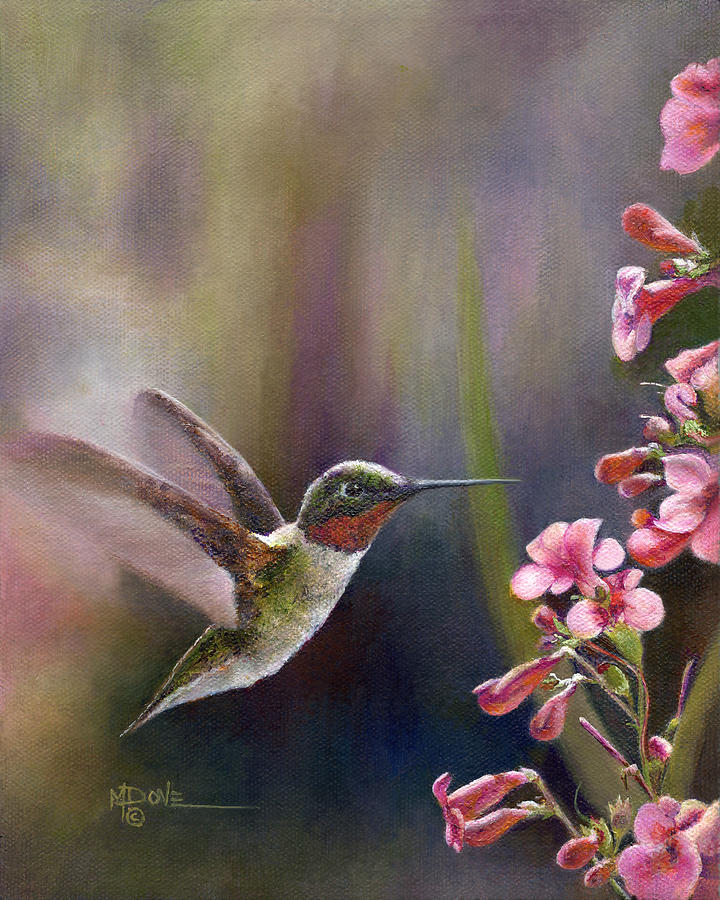 A Hummingbird WOW Banquet Time Painting by Mary Dove