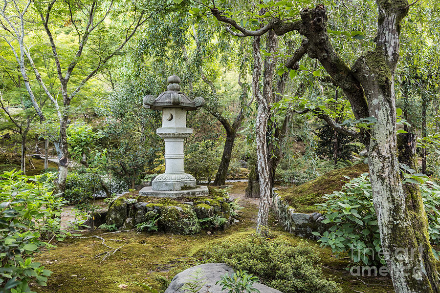 A Japanese garden in Kyoto Photograph by Didier Marti