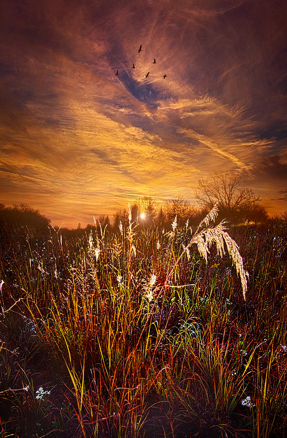 A Journey Through Time Photograph by Phil Koch
