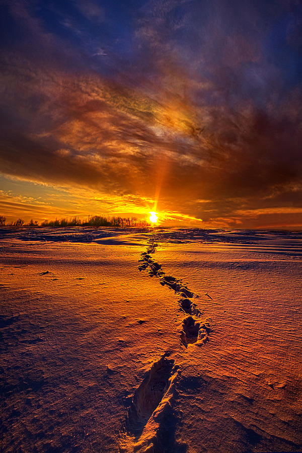 Winter Photograph - A Journey To The Shining Star by Phil Koch