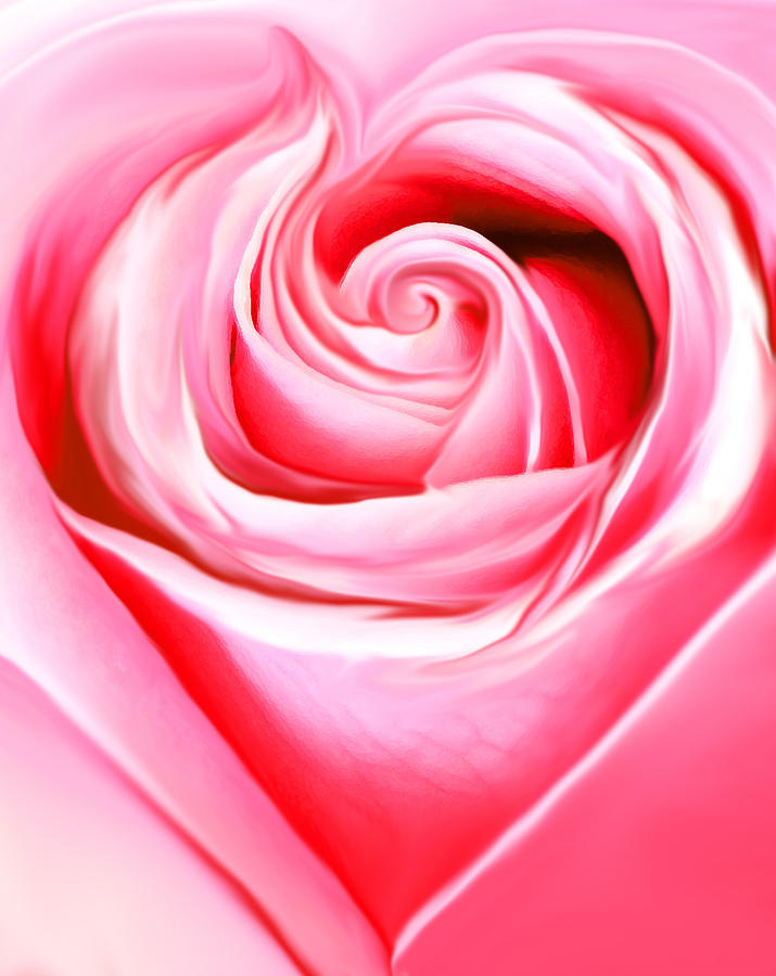 Rose Photograph - A Joyful Heart by The Art Of Marilyn Ridoutt-Greene