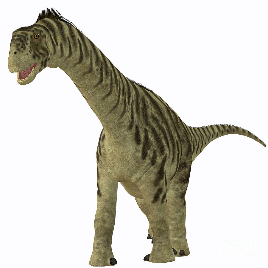 camarasaurus