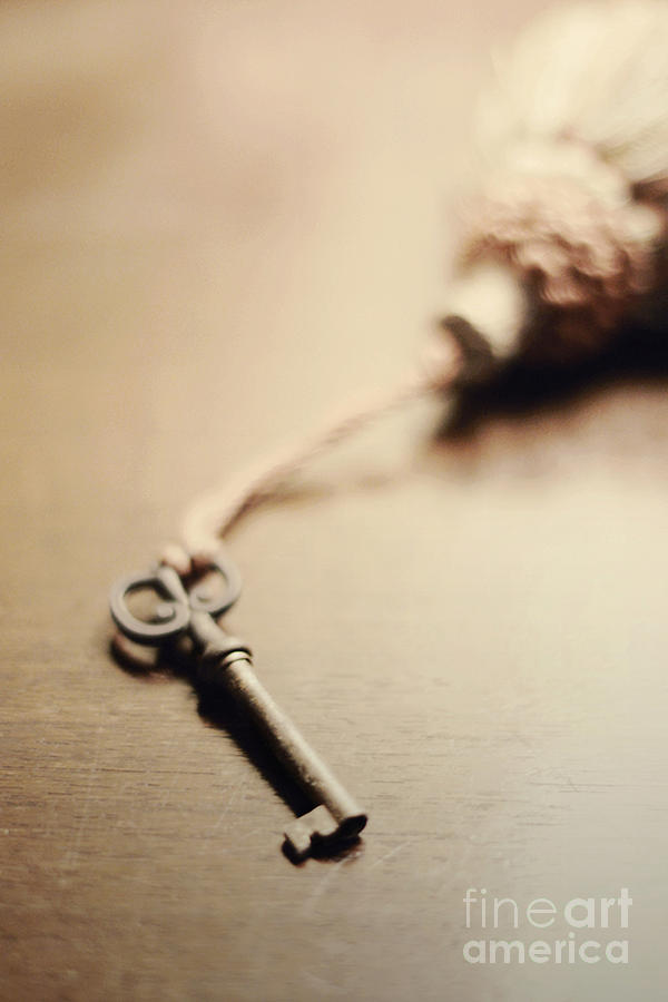 A key... Photograph by Trish Mistric