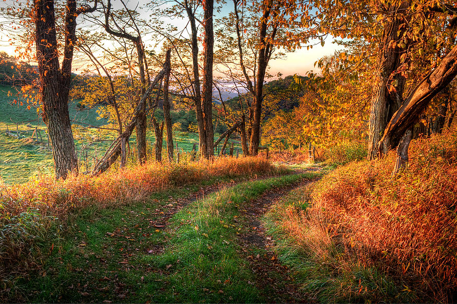 A Kiss of Fall Colors I - Blue Ridge Parkway Photograph by Dan Carmichael