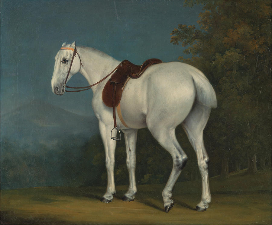A Ladys Grey Hunter Painting by Jacques-Laurent Agasse