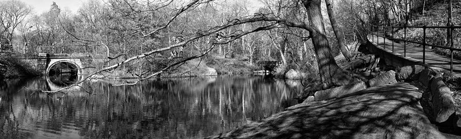 A Lakeside Ramble Photograph by Cornelis Verwaal