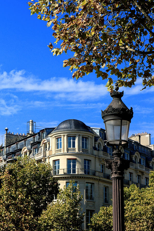 Tree Photograph - A lampost Paris France by Tom Prendergast